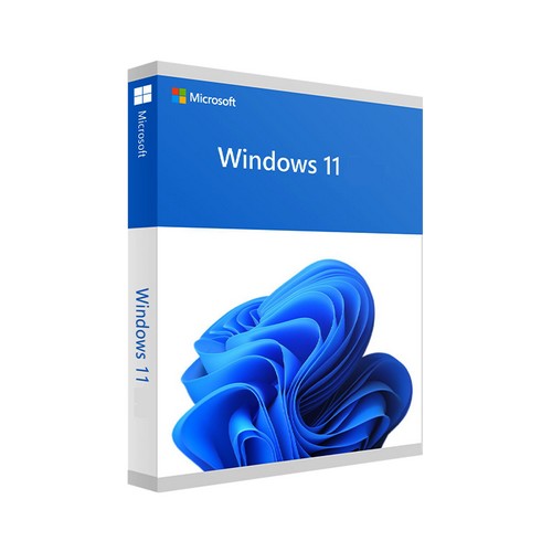 MS Windows 11 Pro